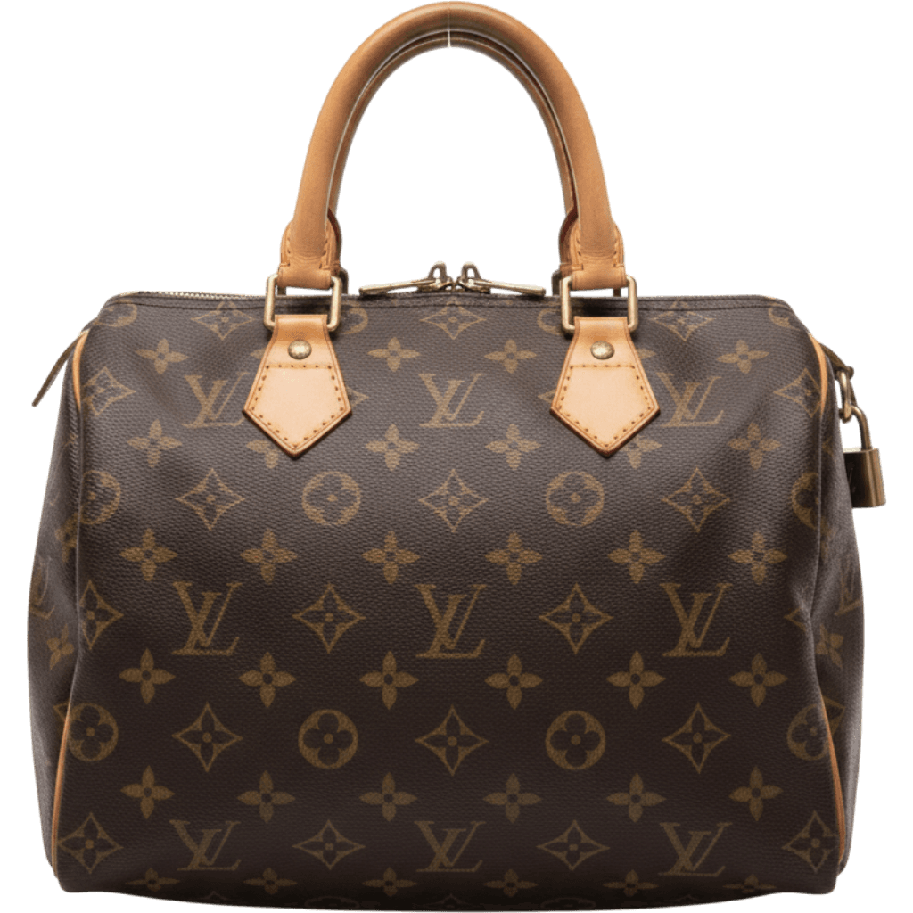 LV Monogram Speedy 25